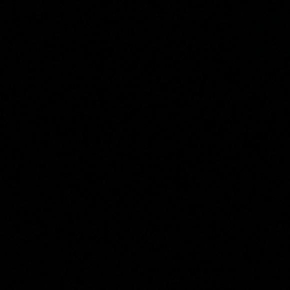 Meet your Posher, Rafa - Picture 1 of 1